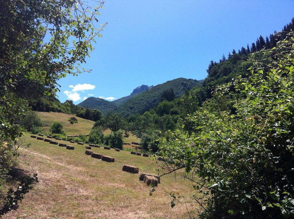 Viviendas Rurales Aldea De Dosamantes Pesaguero-La Parte Esterno foto